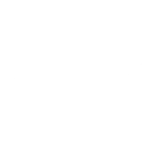 Share icon